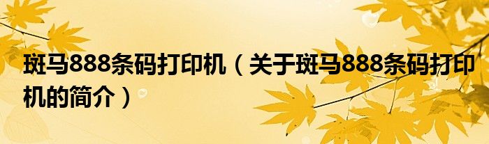 斑馬888條碼打印機（關(guān)于斑馬888條碼打印機的簡介）