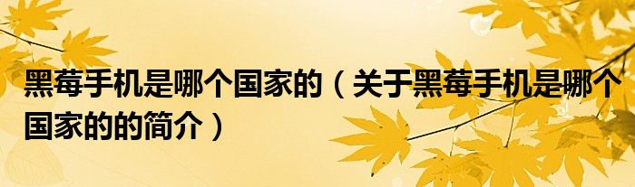 黑莓手機(jī)是哪個(gè)國(guó)家的（關(guān)于黑莓手機(jī)是哪個(gè)國(guó)家的的簡(jiǎn)介）