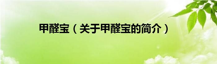 甲醛寶（關(guān)于甲醛寶的簡(jiǎn)介）