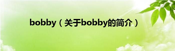 bobby（關(guān)于bobby的簡(jiǎn)介）