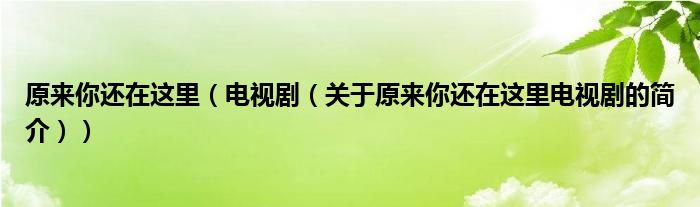 原來你還在這里（電視?。P(guān)于原來你還在這里電視劇的簡介））