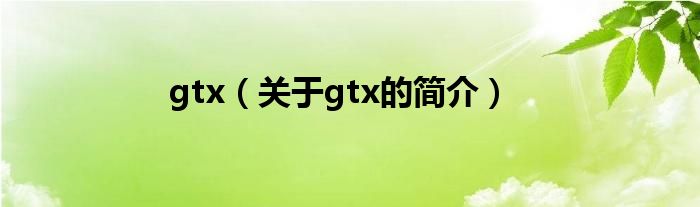 gtx（關(guān)于gtx的簡(jiǎn)介）