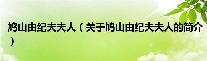 鳩山由紀(jì)夫夫人（關(guān)于鳩山由紀(jì)夫夫人的簡介）