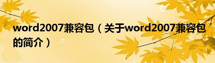 word2007兼容包（關(guān)于word2007兼容包的簡(jiǎn)介）