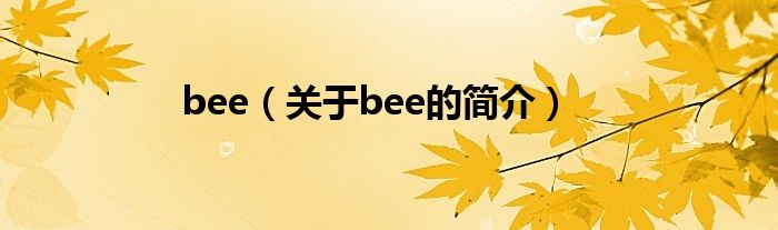 bee（關(guān)于bee的簡(jiǎn)介）