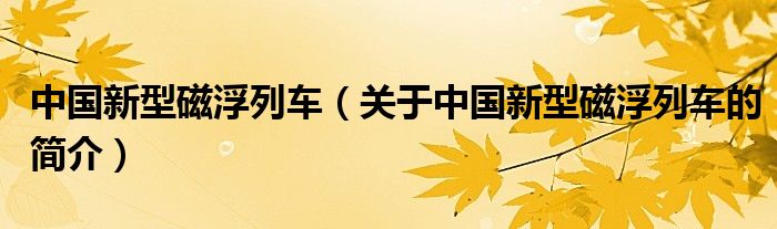 中國新型磁浮列車（關于中國新型磁浮列車的簡介）