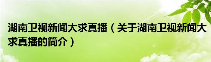 湖南衛(wèi)視新聞大求真播（關(guān)于湖南衛(wèi)視新聞大求真播的簡(jiǎn)介）