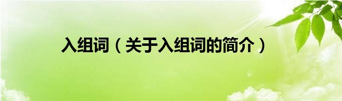 入組詞（關(guān)于入組詞的簡介）