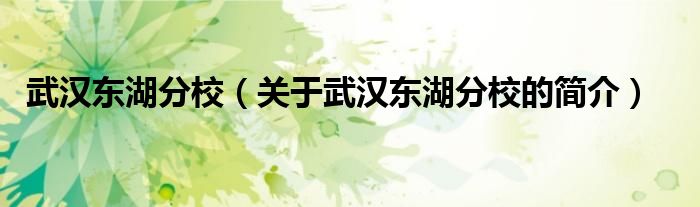 武漢東湖分校（關(guān)于武漢東湖分校的簡(jiǎn)介）