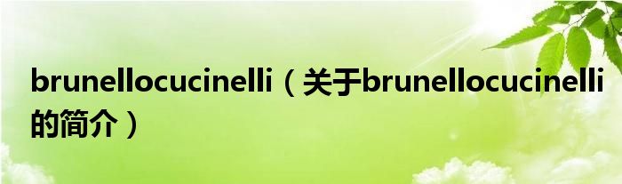 brunellocucinelli（關(guān)于brunellocucinelli的簡(jiǎn)介）