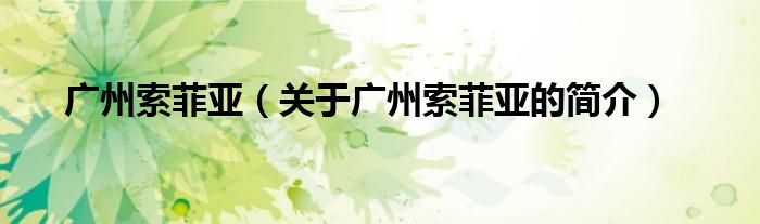 廣州索菲亞（關(guān)于廣州索菲亞的簡(jiǎn)介）