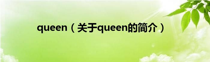 queen（關(guān)于queen的簡介）