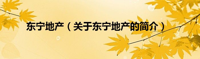 東寧地產(chǎn)（關(guān)于東寧地產(chǎn)的簡介）