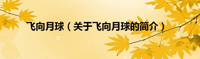 飛向月球（關(guān)于飛向月球的簡介）