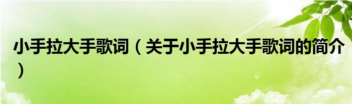 小手拉大手歌詞（關(guān)于小手拉大手歌詞的簡介）