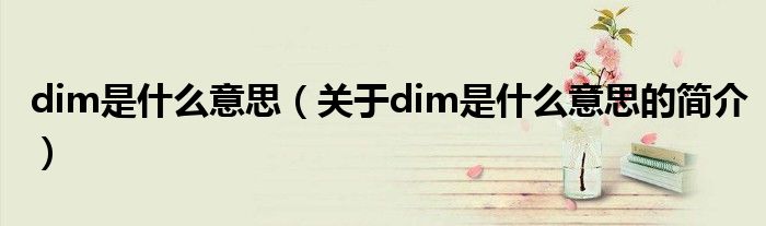 dim是什么意思（關于dim是什么意思的簡介）