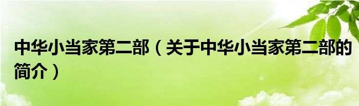 中華小當(dāng)家第二部（關(guān)于中華小當(dāng)家第二部的簡(jiǎn)介）