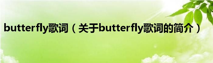 butterfly歌詞（關(guān)于butterfly歌詞的簡介）