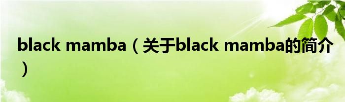 black mamba（關(guān)于black mamba的簡(jiǎn)介）