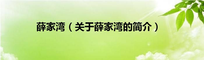 薛家灣（關(guān)于薛家灣的簡介）