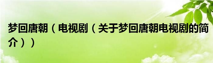 夢回唐朝（電視?。P(guān)于夢回唐朝電視劇的簡介））