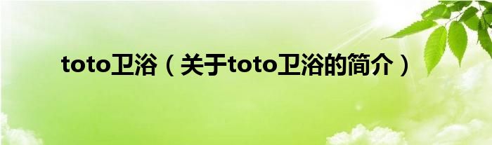 toto衛(wèi)?。P(guān)于toto衛(wèi)浴的簡(jiǎn)介）