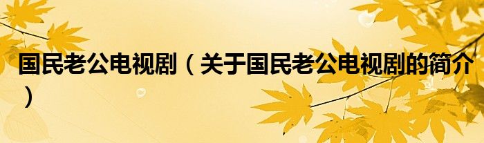 國民老公電視?。P(guān)于國民老公電視劇的簡介）