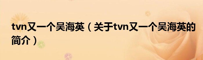 tvn又一個吳海英（關(guān)于tvn又一個吳海英的簡介）