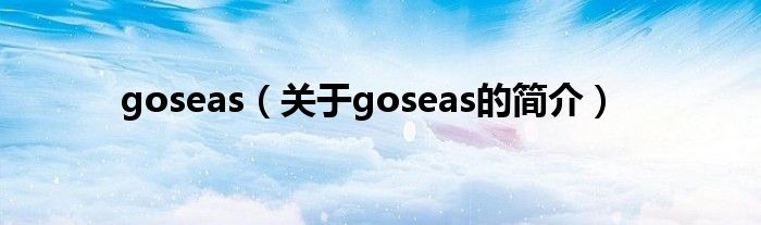 goseas（關(guān)于goseas的簡介）