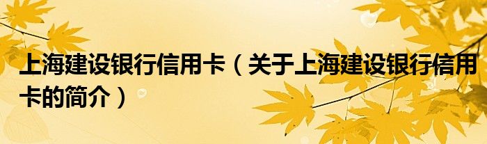 上海建設銀行信用卡（關于上海建設銀行信用卡的簡介）