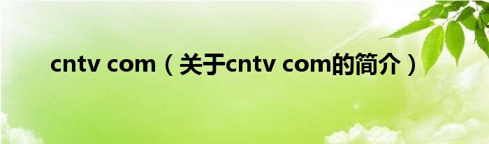 cntv com（關(guān)于cntv com的簡介）