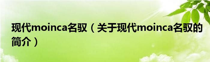 現(xiàn)代moinca名馭（關(guān)于現(xiàn)代moinca名馭的簡介）