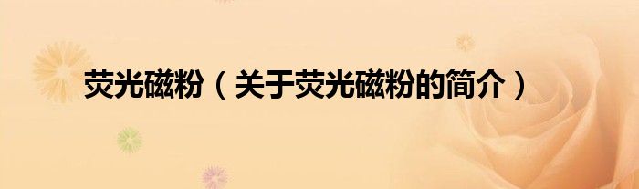 熒光磁粉（關(guān)于熒光磁粉的簡(jiǎn)介）