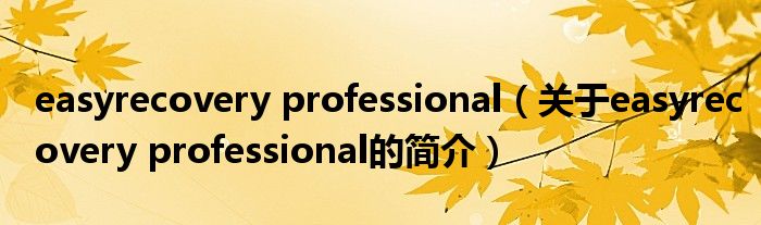 easyrecovery professional（關于easyrecovery professional的簡介）