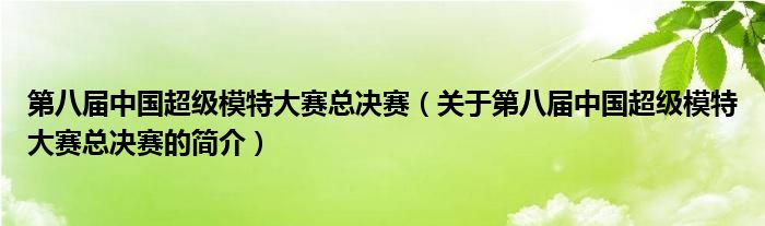 第八屆中國超級模特大賽總決賽（關(guān)于第八屆中國超級模特大賽總決賽的簡介）