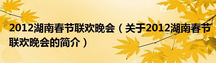 2012湖南春節(jié)聯(lián)歡晚會(huì)（關(guān)于2012湖南春節(jié)聯(lián)歡晚會(huì)的簡介）