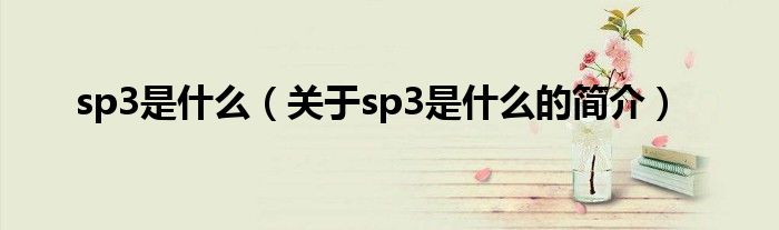 sp3是什么（關(guān)于sp3是什么的簡(jiǎn)介）