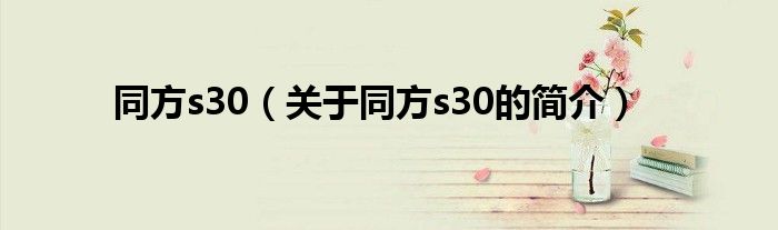 同方s30（關于同方s30的簡介）