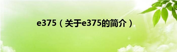 e375（關(guān)于e375的簡(jiǎn)介）