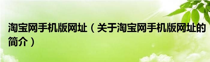 淘寶網(wǎng)手機(jī)版網(wǎng)址（關(guān)于淘寶網(wǎng)手機(jī)版網(wǎng)址的簡介）