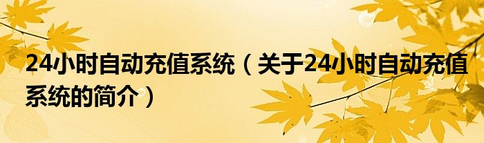 24小時(shí)自動(dòng)充值系統(tǒng)（關(guān)于24小時(shí)自動(dòng)充值系統(tǒng)的簡介）