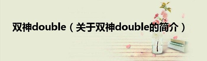 雙神double（關(guān)于雙神double的簡(jiǎn)介）