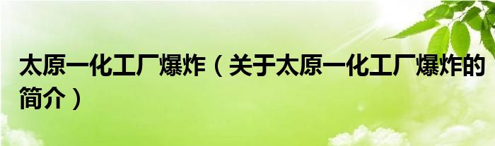 太原一化工廠爆炸（關于太原一化工廠爆炸的簡介）