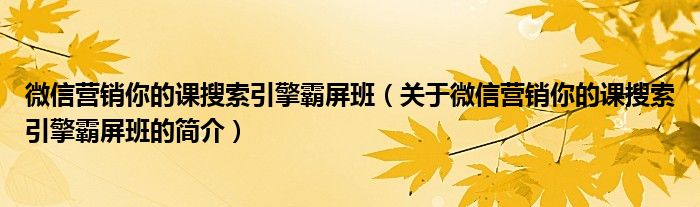 微信營銷你的課搜索引擎霸屏班（關于微信營銷你的課搜索引擎霸屏班的簡介）