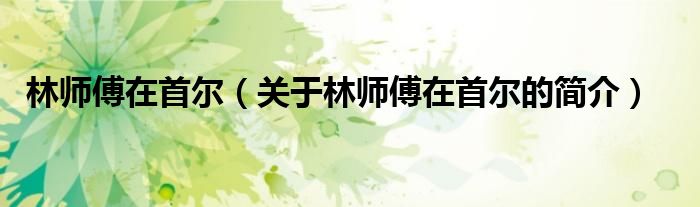 林師傅在首爾（關(guān)于林師傅在首爾的簡(jiǎn)介）