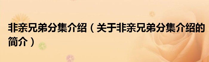 非親兄弟分集介紹（關(guān)于非親兄弟分集介紹的簡(jiǎn)介）