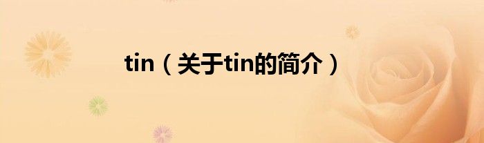 tin（關(guān)于tin的簡(jiǎn)介）