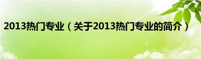 2013熱門(mén)專業(yè)（關(guān)于2013熱門(mén)專業(yè)的簡(jiǎn)介）