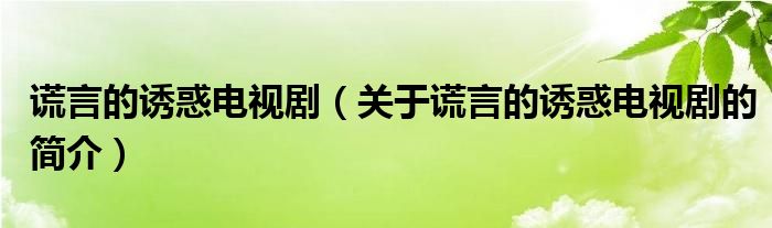 謊言的誘惑電視?。P(guān)于謊言的誘惑電視劇的簡(jiǎn)介）