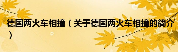 德國(guó)兩火車相撞（關(guān)于德國(guó)兩火車相撞的簡(jiǎn)介）